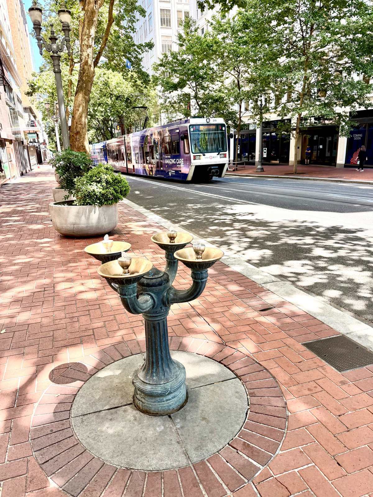 Portland